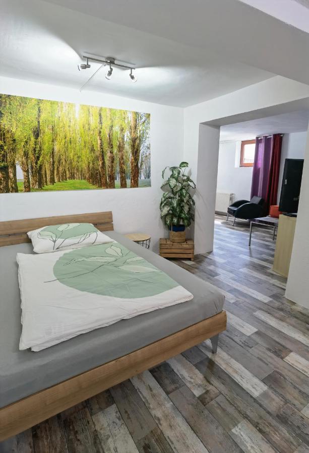 Ferienwohnung - Appartement "Painted Horse" Im Herzen Des Pfaelzer Waldes Reichenbach-Steegen Exterior foto