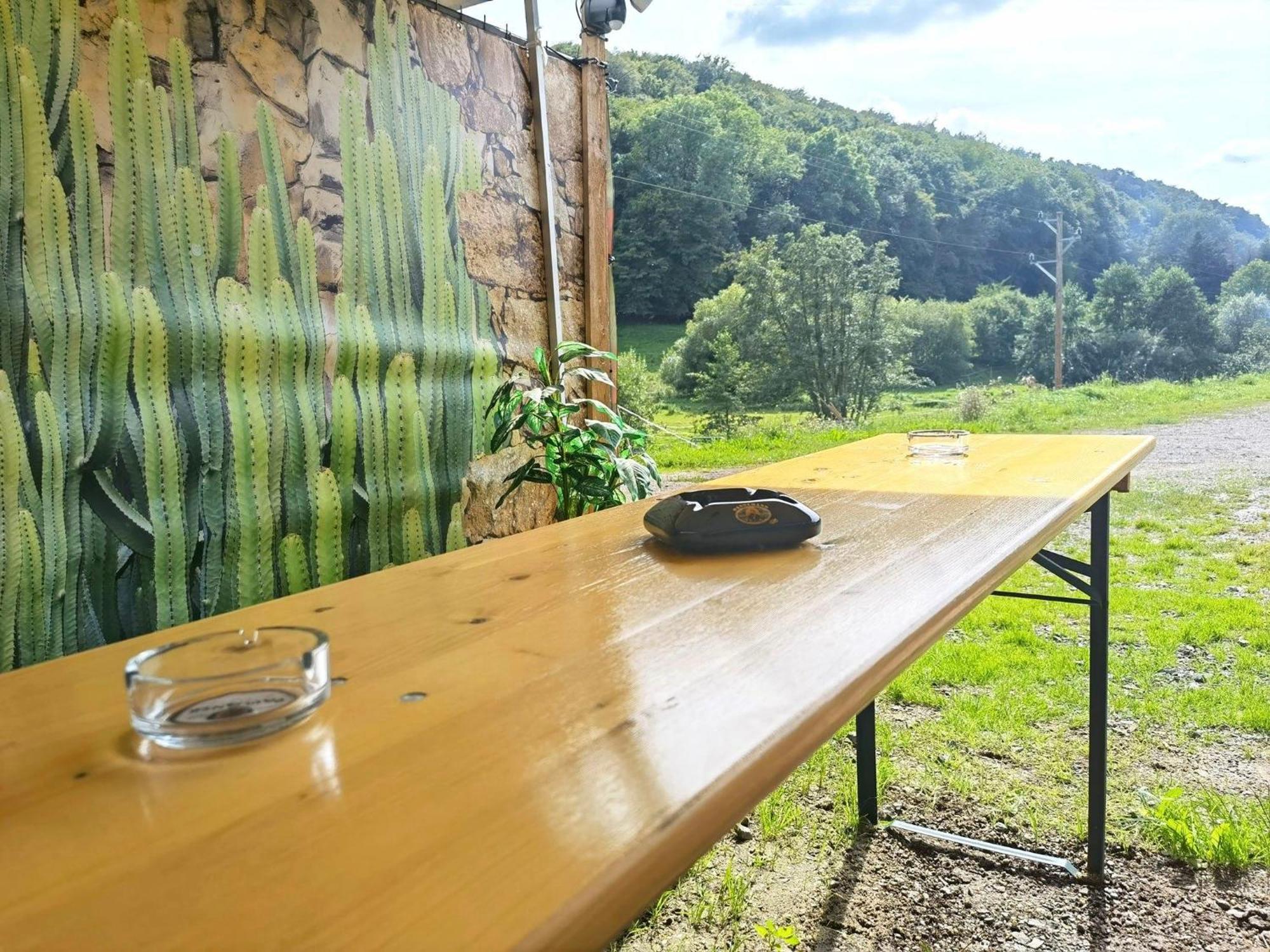 Ferienwohnung - Appartement "Painted Horse" Im Herzen Des Pfaelzer Waldes Reichenbach-Steegen Exterior foto